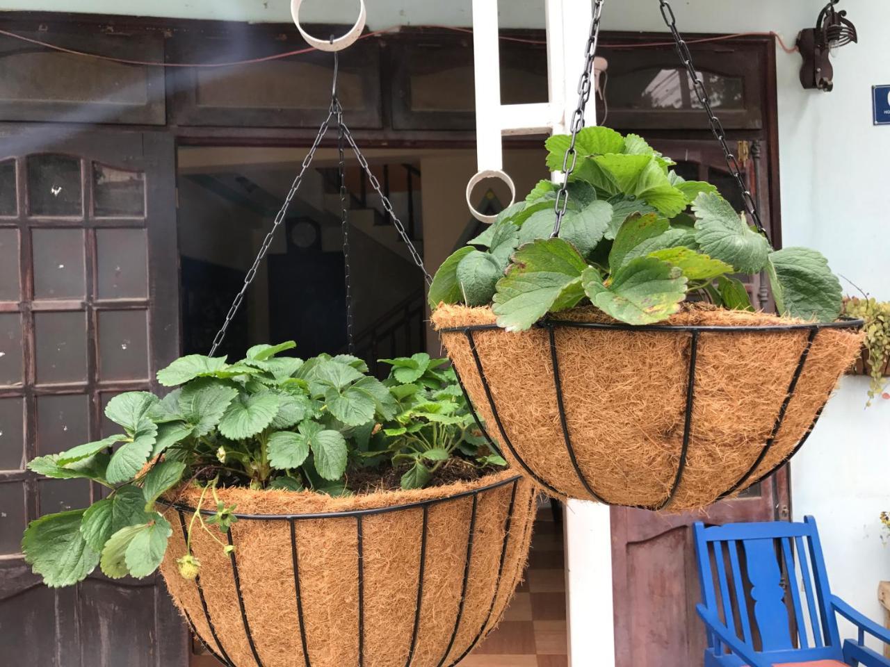 Dalat Coffee House Homestay Luaran gambar